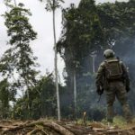 Juez levanta suspensión de bombardeos de la Fuerza Pública, pero impone condiciones por presencia de menores