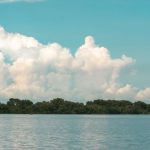 CO2ROZO se consolida como el mayor proyecto privado de conservación de bosques y humedales en Colombia