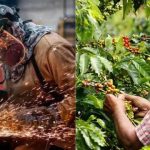 Economía colombiana se desplomó en agosto: reportó una caída mensual del 3,1 %